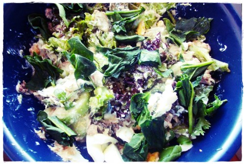 PENTAX DIGITAL CAMERA