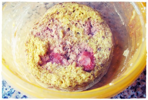 PENTAX DIGITAL CAMERA