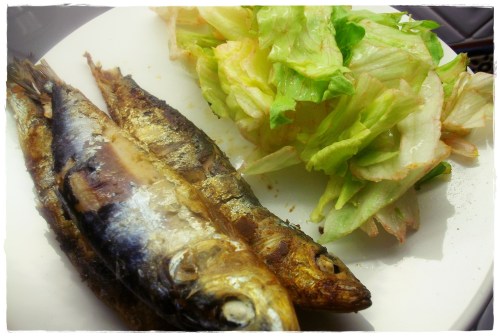 PENTAX DIGITAL CAMERA