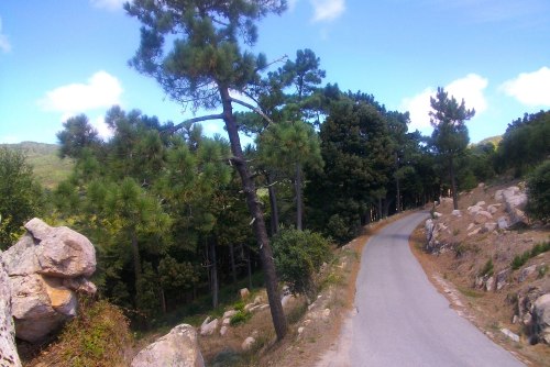 PENTAX DIGITAL CAMERA