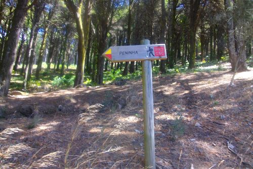 PENTAX DIGITAL CAMERA