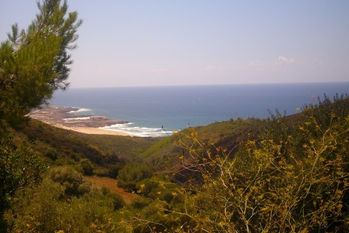 PENTAX DIGITAL CAMERA