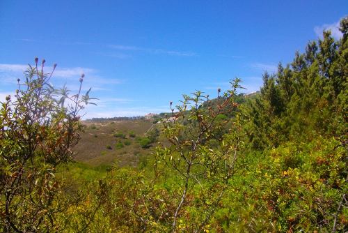 PENTAX DIGITAL CAMERA