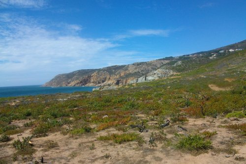 PENTAX DIGITAL CAMERA