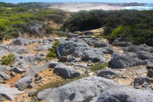 PENTAX DIGITAL CAMERA