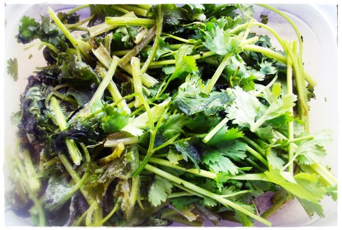 PENTAX DIGITAL CAMERA