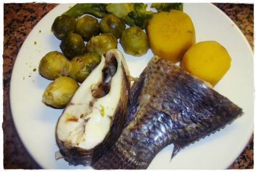 PENTAX DIGITAL CAMERA