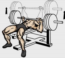 increase-bench_press