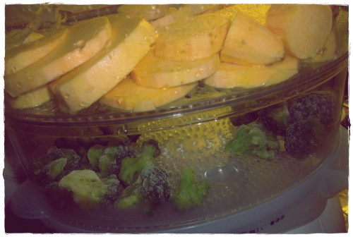 PENTAX DIGITAL CAMERA