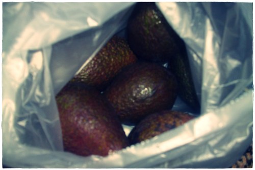 PENTAX DIGITAL CAMERA