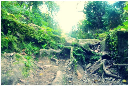 PENTAX DIGITAL CAMERA