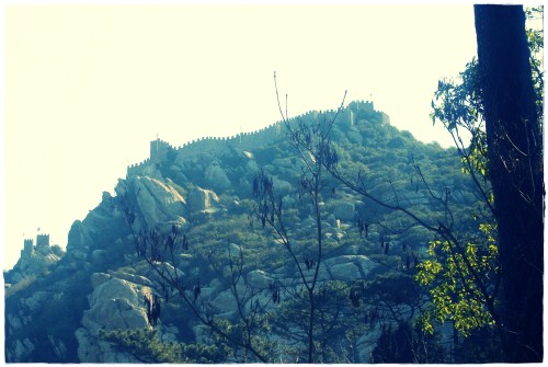 PENTAX DIGITAL CAMERA