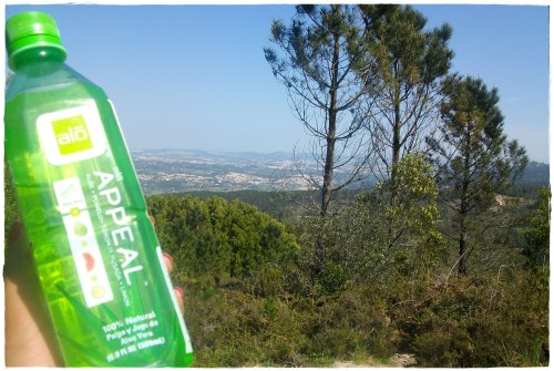 PENTAX DIGITAL CAMERA