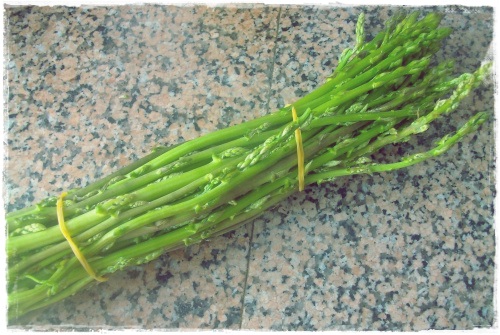 PENTAX DIGITAL CAMERA