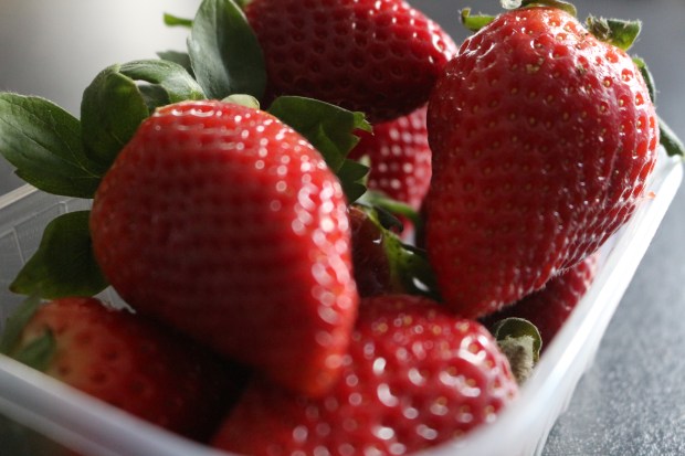 alimentação_saudável_ideias_clicks_joanabbl_raparigamoderna_gravidez_myprotein_fitness_blog_portugal (16)