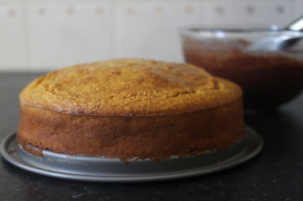 bolo-de-cenoura-saudavel-fit-joanabbl-4