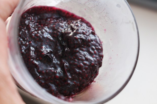 doce-de-mirtilos-e-chia-4