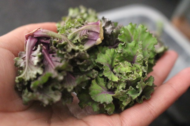 kallets-o-que-sao-joanabbl-raparigamoderna-6