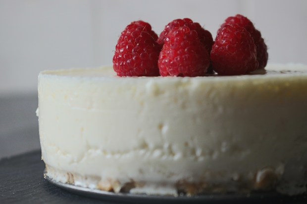 cheesecake saudavel framboesas cheesecake fit cheesecake proteico joanabbl raparigamoderna.JPG