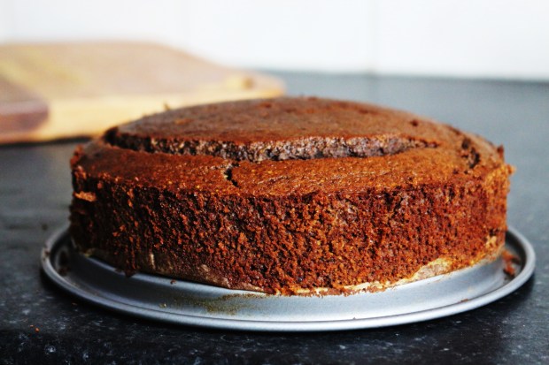 bolo de chocolate saudavel sem gluten sem lactose bolo coberto chocolate joanabbl video youtube raparigamoderna bolo fitIMG_0028