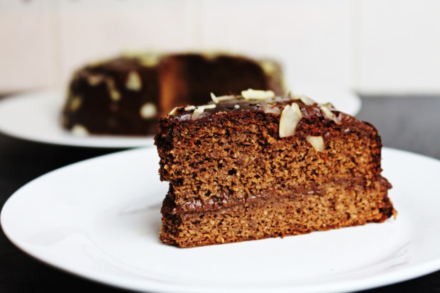 bolo de chocolate saudavel sem gluten sem lactose bolo coberto chocolate joanabbl video youtube raparigamoderna bolo fitIMG_0067