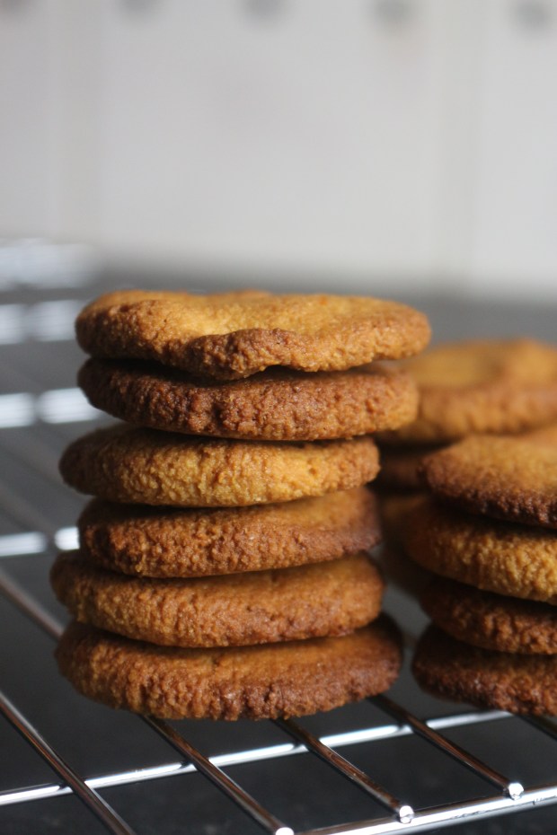 bolachas saudaveis sem gluten sem lactose joanabbl (2)