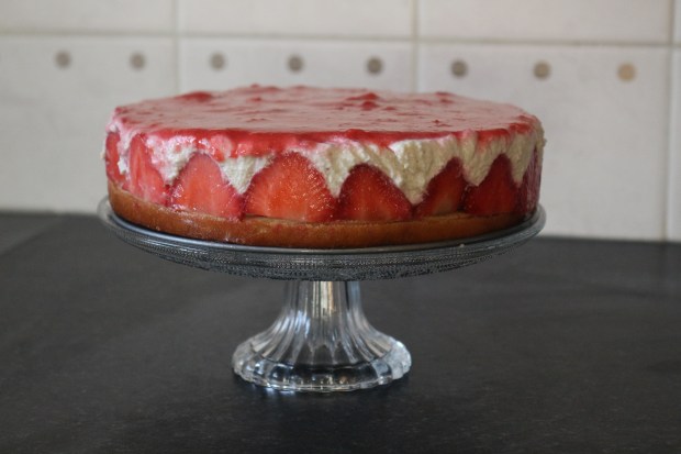 bolo mousse de morango sem gluten sem lactose joanabbl raparigamoderna (1)