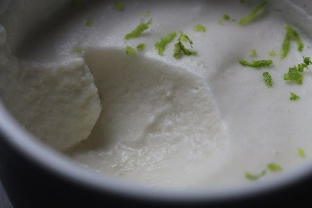 mousse de lima saudavel sem lactose (2)
